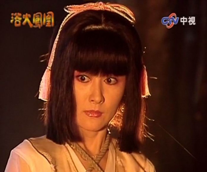 浴火鳳凰DVD,萬達DVD專賣店-www.rutenmall.com